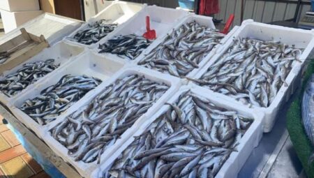 Balık av döneminin kapanmasına günler kaldı: Fiyatlar artmaya başladı
