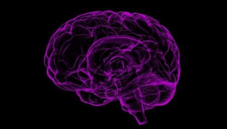 Bilim insanları beyindeki ‘iç pusulanın’ nasıl çalıştığını tespit etti