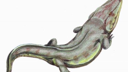 Bilim insanları dinozorlardan daha eski dev ayak izleri keşfetti!