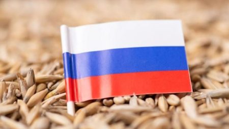 BM’den Putin’e tahıl teklifi
