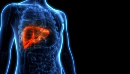 Karaciğer naklinde muvaffakiyet oranı nedir, karaciğer nakli nasıl yapılır?