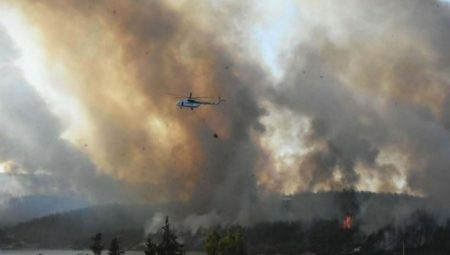Bodrum’da 2 yıl evvel ormanı yakan şüpheliyi, telefon bildirisi yakalattı: 100 bin TL karşılığında yapmış
