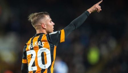 Hull City, Dimitris Pelkas için kararını verdi