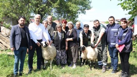 Koyunları ölen bayan üreticiye Aydın Büyükşehir Belediyesi’nden dayanak